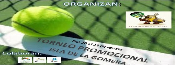 cartel padel tecina