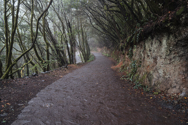 131224 acceso a El Cedro - Las Mimbreras en La Gomera